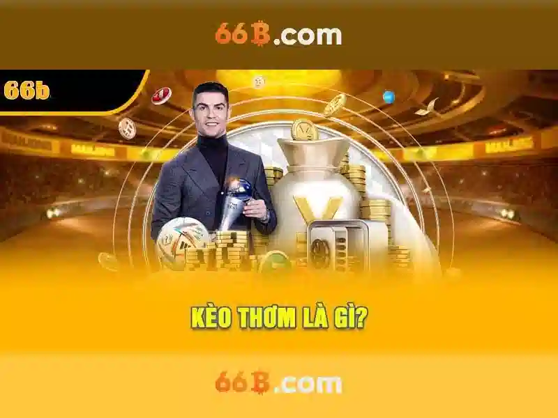 quy trình đăng xuất 66B