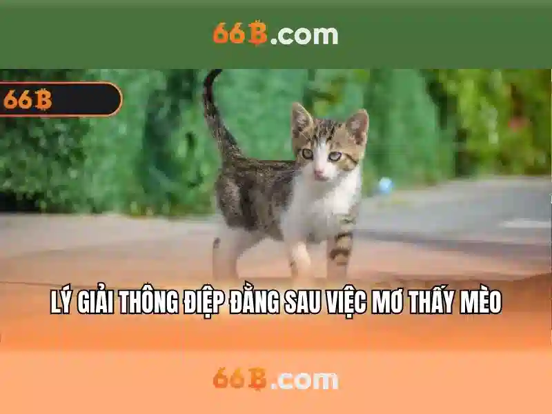 Tính năng đỉnh cao