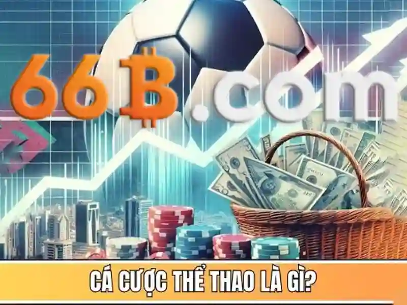 Trải nghiệm đỉnh cao